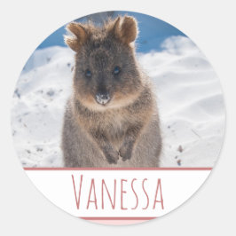 Rosa Girls Personlig Quokka Beach Sticker Runt Klistermärke