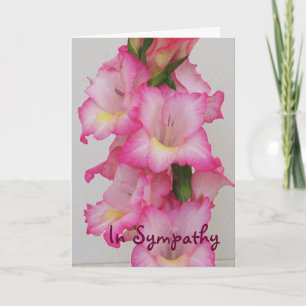 Rosa Gladiolas blom- sympatikort för AC Kort