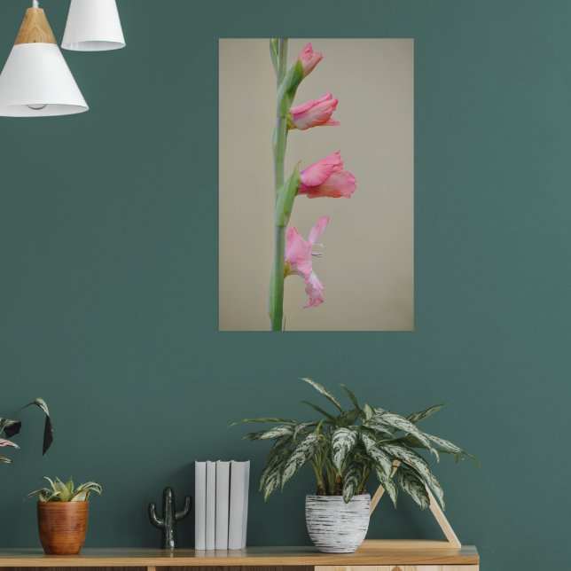 Rosa Gladiolus Glad Blad-profilkonst Poster (Vardagsrum 1)