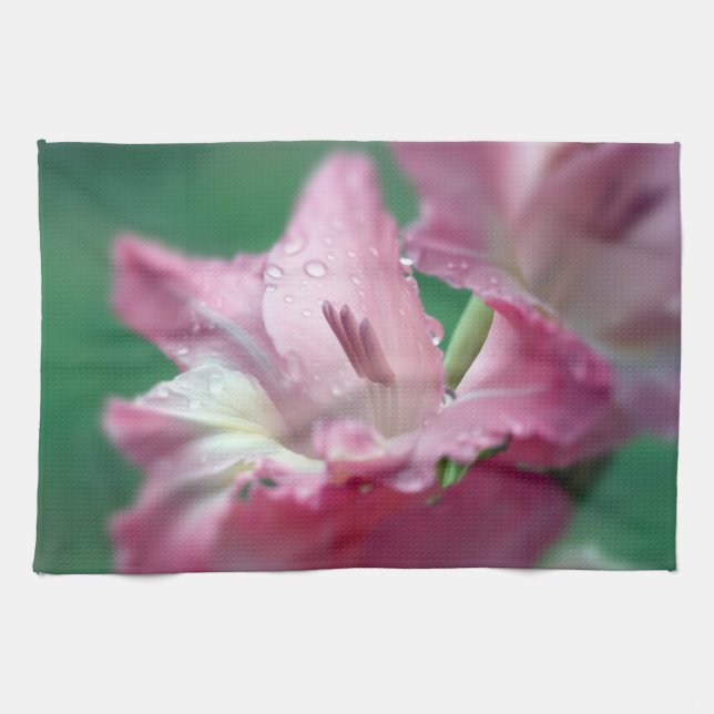 Rosa Gladiolus Kitchen Towels Kökshandduk (Horisontell)