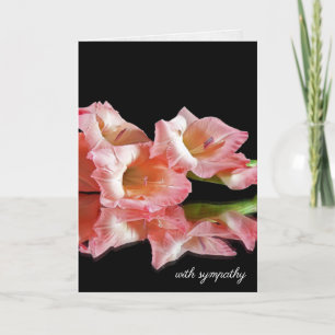 Rosa Gladiolus on Black Sympathy Kort