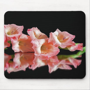 Rosa Gladiolus Reflection Musmatta