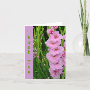 ROSA GLADIOLUS-TACK-KORT TACK KORT