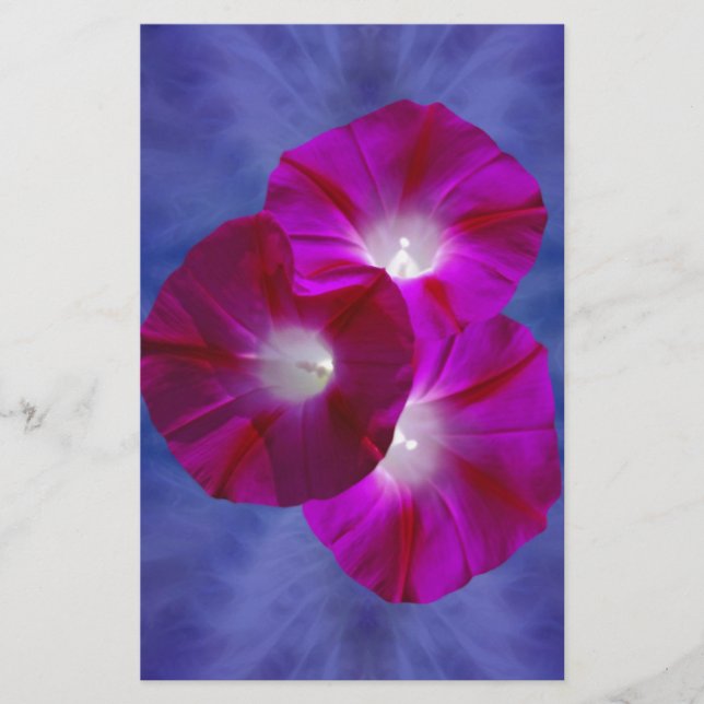 Rosa God morgon Glory (Framsida)