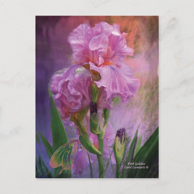 Rosa Goddes Art Postcard Vykort (Framsida)