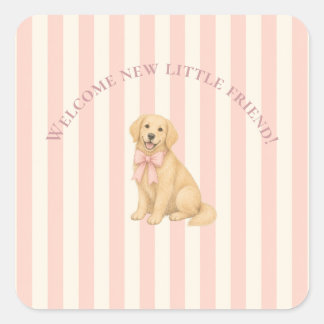 Rosa Golden Retriever Baby Shower Fyrkantigt Klistermärke