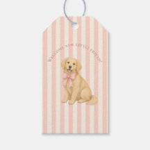 Rosa Golden Retriever Bebis firande