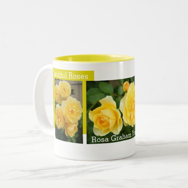 Rosa Graham Tomas：Two‐tone Mug Två-Tonad Mugg (Framsida vänster)