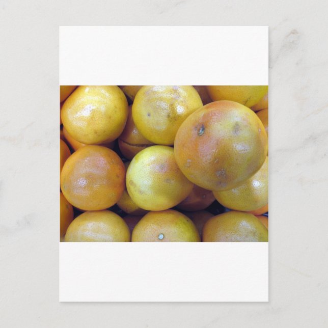 Rosa Grapefruit Vykort (Framsida)