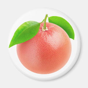 Rosa grapefrukt magnet
