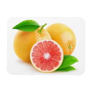 Rosa grapefrukter magnet