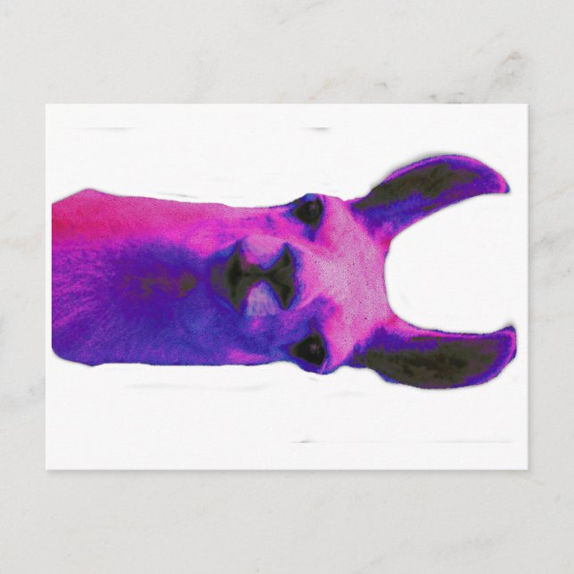 Rosa Graphic Llama Vykort (Framsida)