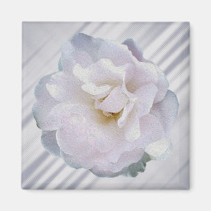 Rosa grått ro magnet