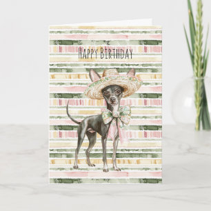 Rosa Grön Gul Randig Chihuahua Hund Födelsedag Kort