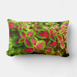 Rosa Grönt Coleus Flower Pillow Lumbarkudde