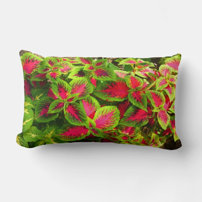 Rosa Grönt Coleus Flower Pillow Lumbarkudde (Framsida)