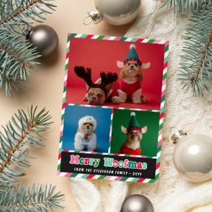 Rosa Grönt Retro Merry Woofmas Photo Collage Julkort