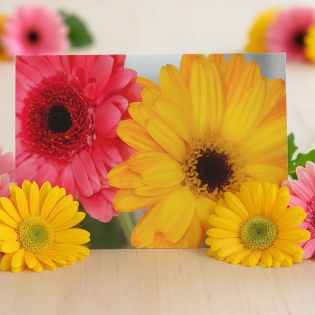 Rosa Gul Gerbera Tusenskönhet Vänskap Ljus Blomma Kort (Skapare uppladdad)