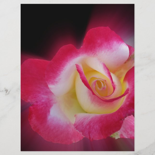 rosa gul ros (Framsida)
