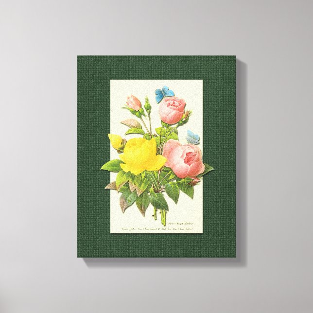 Rosa Gul ros Botaniskt konst Wrapped Canvas (Framsida)