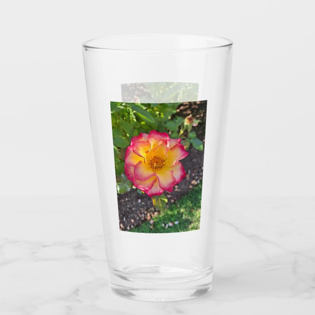 Rosa Gul Ros Glas (Framsida)