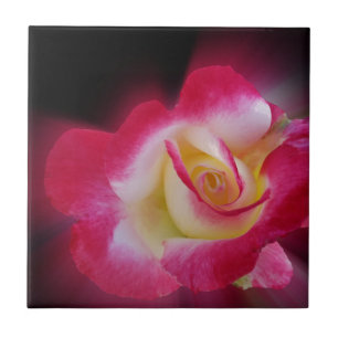 rosa gul ros kakelplatta