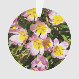 Rosa & Gula blommor Akryla prydnadsföremål