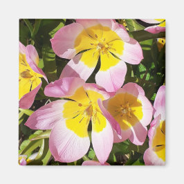 Rosa & Gula blommor Magnet