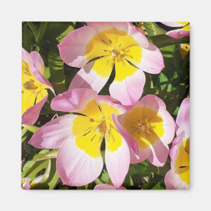 Rosa & Gula blommor Magnet