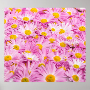 Rosa Gula blommor Sömlös bakgrund Poster
