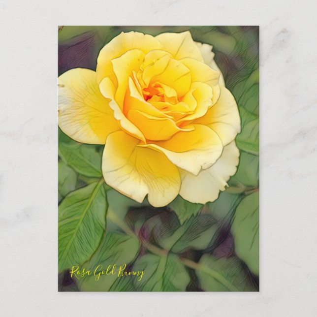 Rosa Guld Bunny [vykort] Vykort (Framsida)