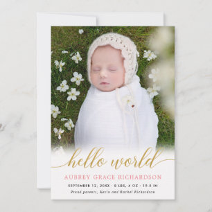 Rosa guld hej World flicka