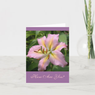 "ROSA&GULT DAY LILY/HUR ÄR DU?" KORT