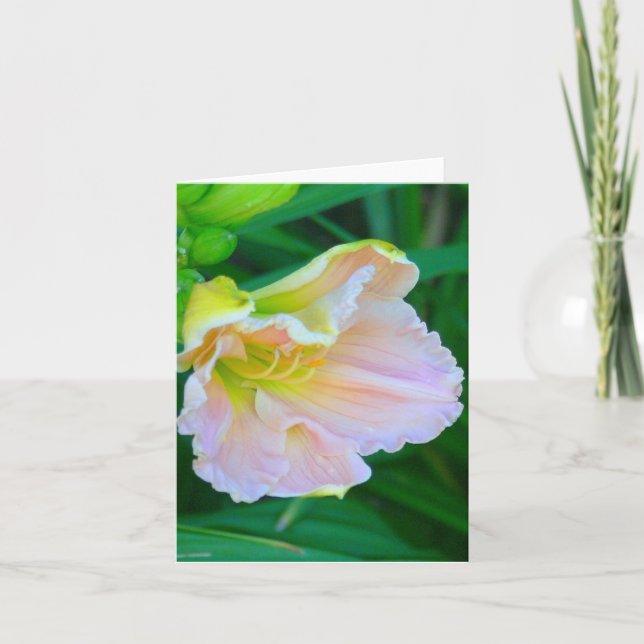 "ROSA & GULT DAY LILY/RESEMBLES SEA SNÄCKA" KORT (Framsida)