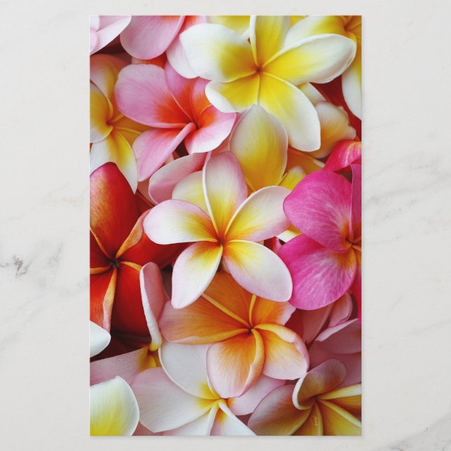 Rosa Gult Vit blandad plasmafolie (Framsida)