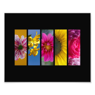 Rosa- & gultmakroblommor landskap fototryck