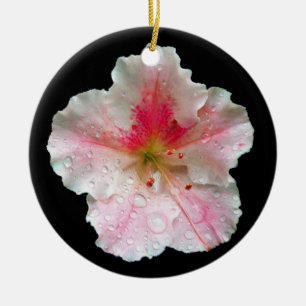 "Rosa Gumpo Azalea" Julgransprydnad Keramik