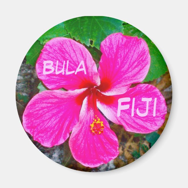 Rosa Habiscus Magnet (Framsidan)