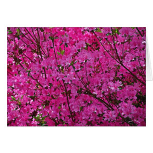 Rosa! Hälsningskort