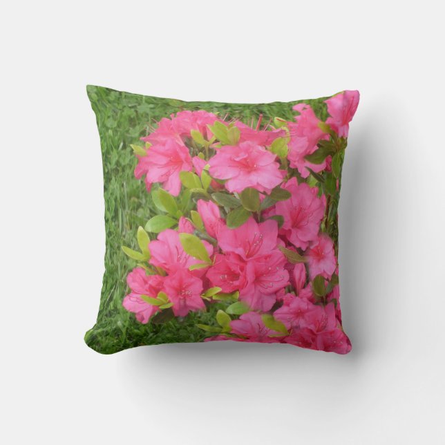 Rosa Hardy Azaleas Kudde (Framsida)