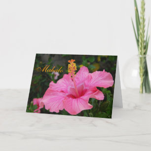 Rosa Hawaii hibiskuskort Tack Kort
