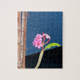 Rosa Hawaii Plumeria Flower Jigszle Puzzle Pussel