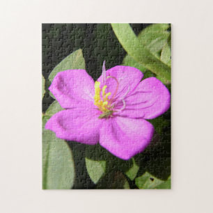 Rosa Hawaiian Plumeria Poster Faux Kanvastryck A Pussel
