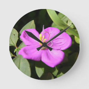Rosa Hawaiian Plumeria Poster Faux Kanvastryck A Rund Klocka
