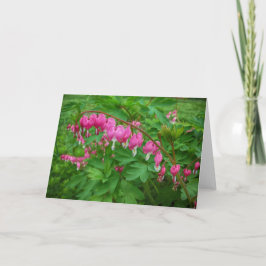 Rosa Heart Flowers Kort