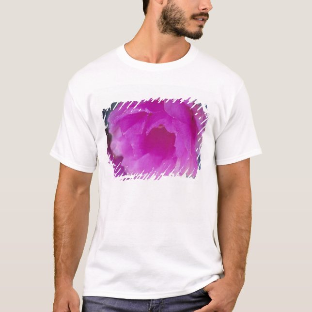 Rosa hedgehog-kaktusblomning (Echinocereus Tee Shirt (Framsida)