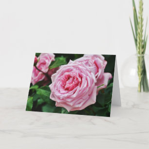 Rosa Heirloom Ro Scripture Card 2 Peter 1:2 Kort