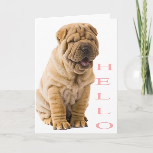 Rosa Hej Shar Pei Puppy Hund Tom Kort (Framsida)