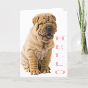 Rosa Hej Shar Pei Puppy Hund Tom Kort