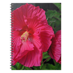 Rosa hibiscus-blommor anteckningsbok